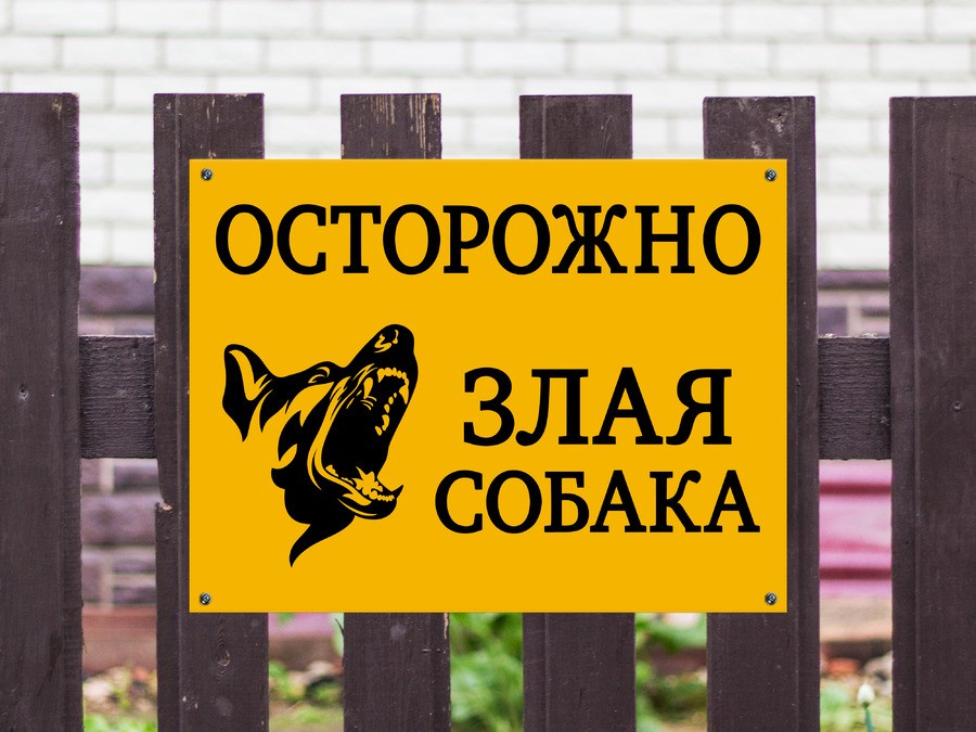 Осторожно злая аня картинка